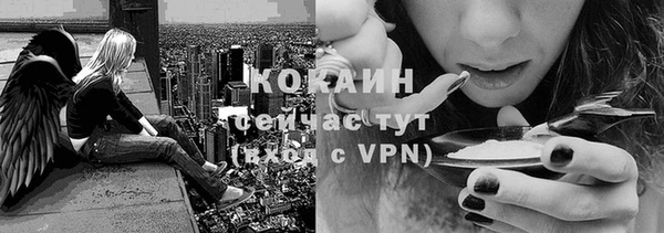 гашик Волоколамск