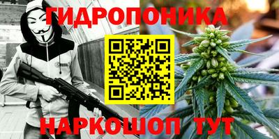дживик Абинск