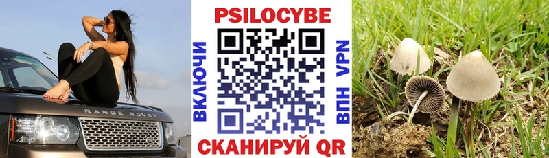 Галлюциногенные грибы MAGIC MUSHROOMS  OMG ТОР  Гудермес 