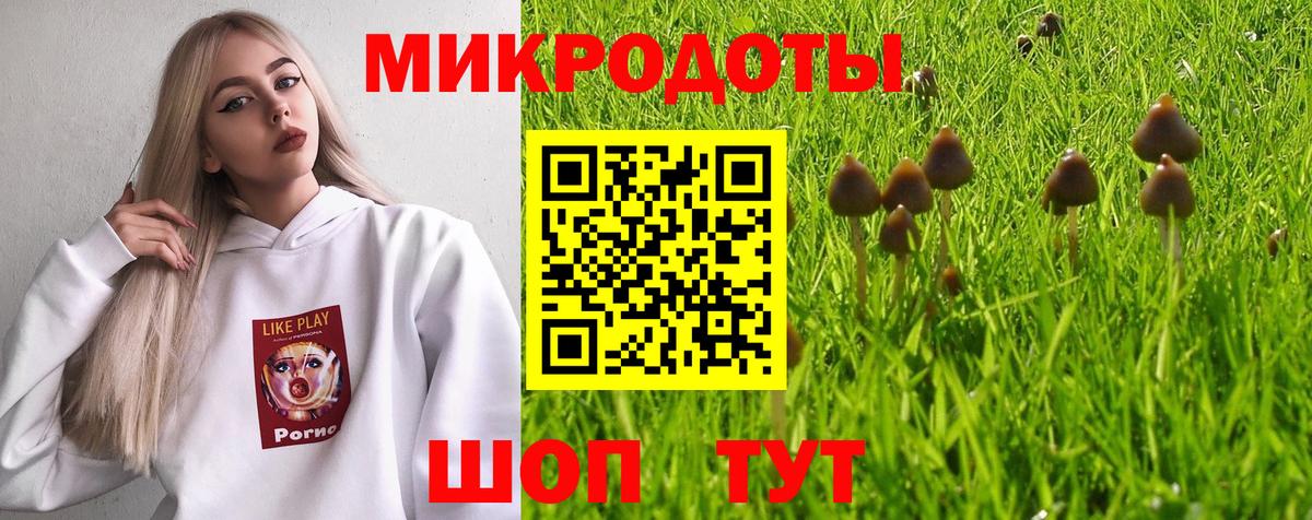 Псилоцибиновые грибы прущие грибы Гудермес