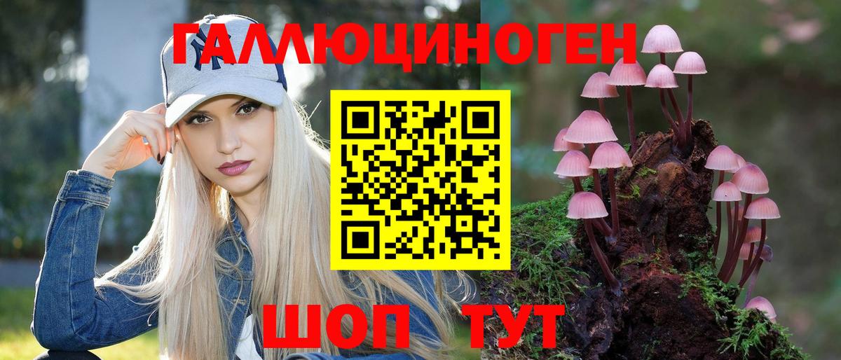 Галлюциногенные грибы Magic Shrooms  Псилоцибиновые грибы MAGIC MUSHROOMS  Гудермес 