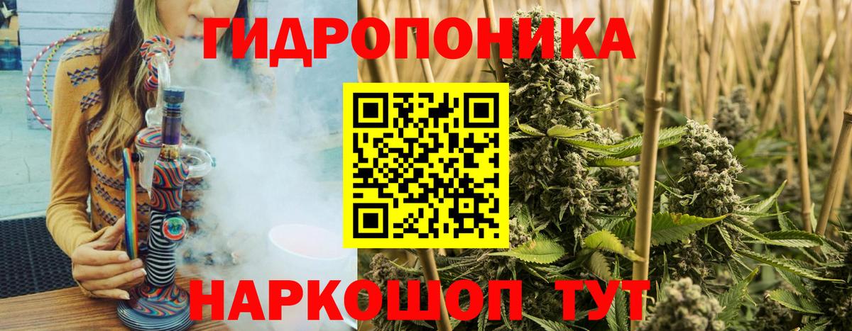 Бошки марихуана SATIVA & INDICA  Шишки марихуана OG Kush  Гудермес  Конопля VHQ  Вход с VPN 